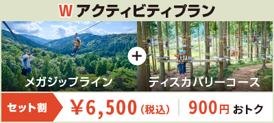 ダブルアクティビティプラン