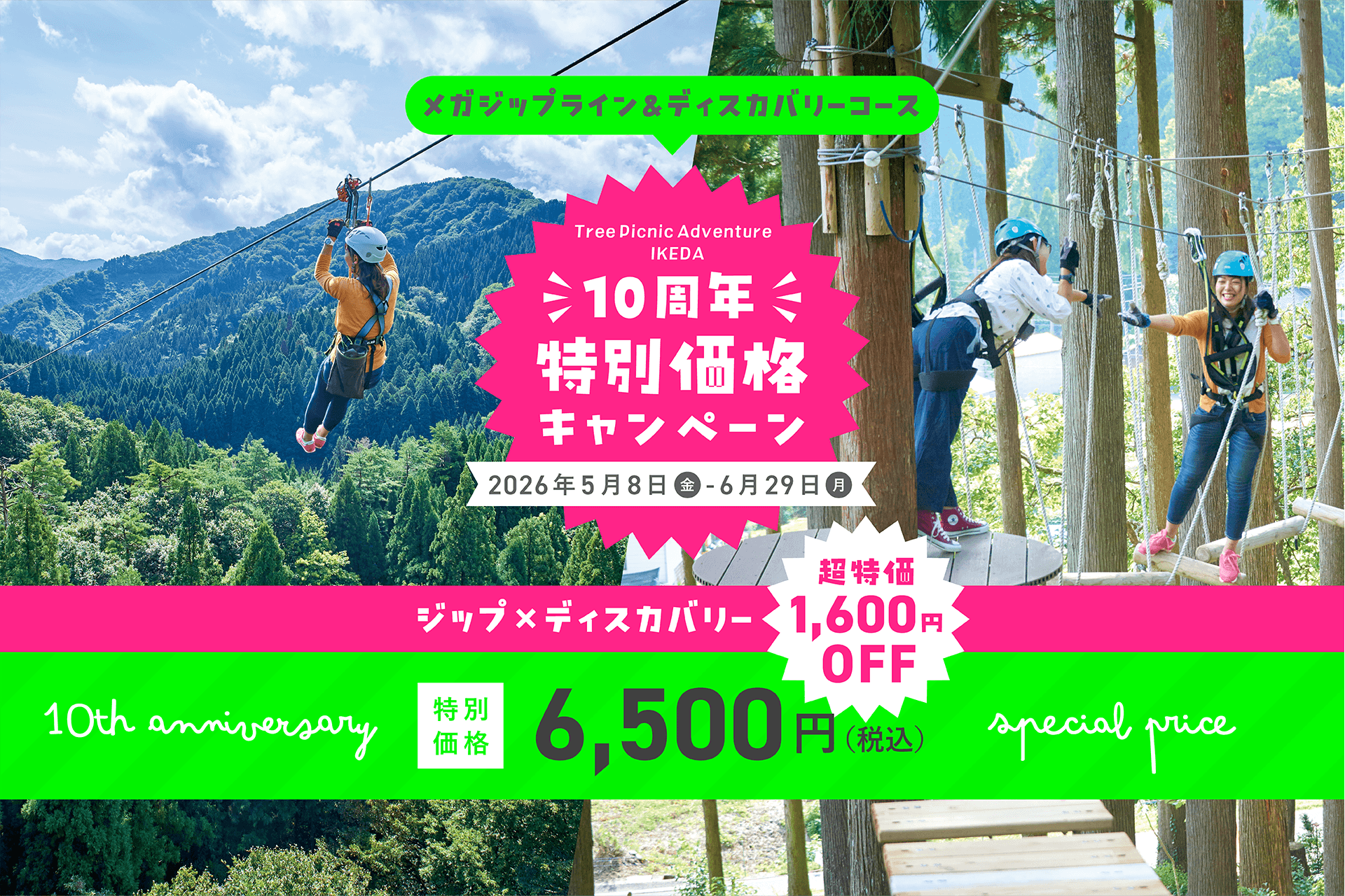 10周年特別価格キャンペーン ジップ×ディスカバリー 6500円